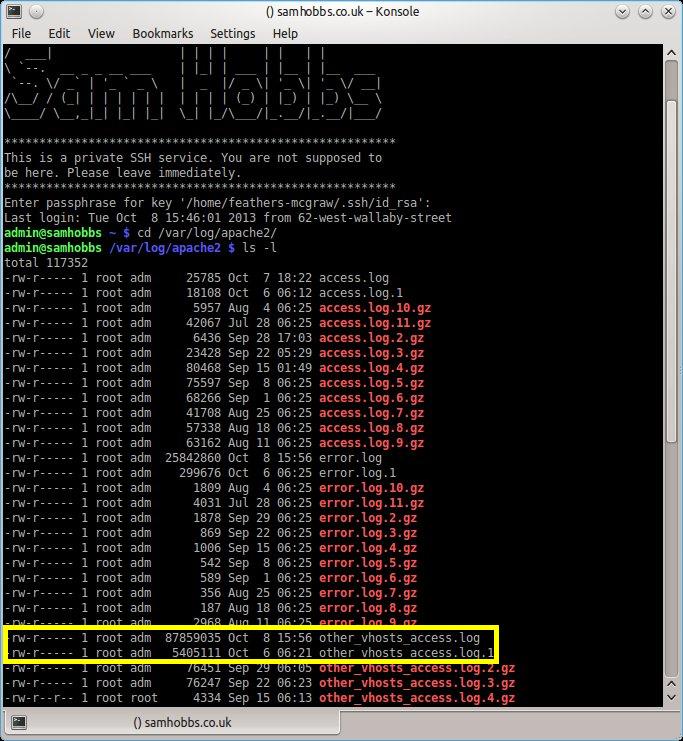 Apache access logs