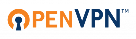 OpenVPN Logo